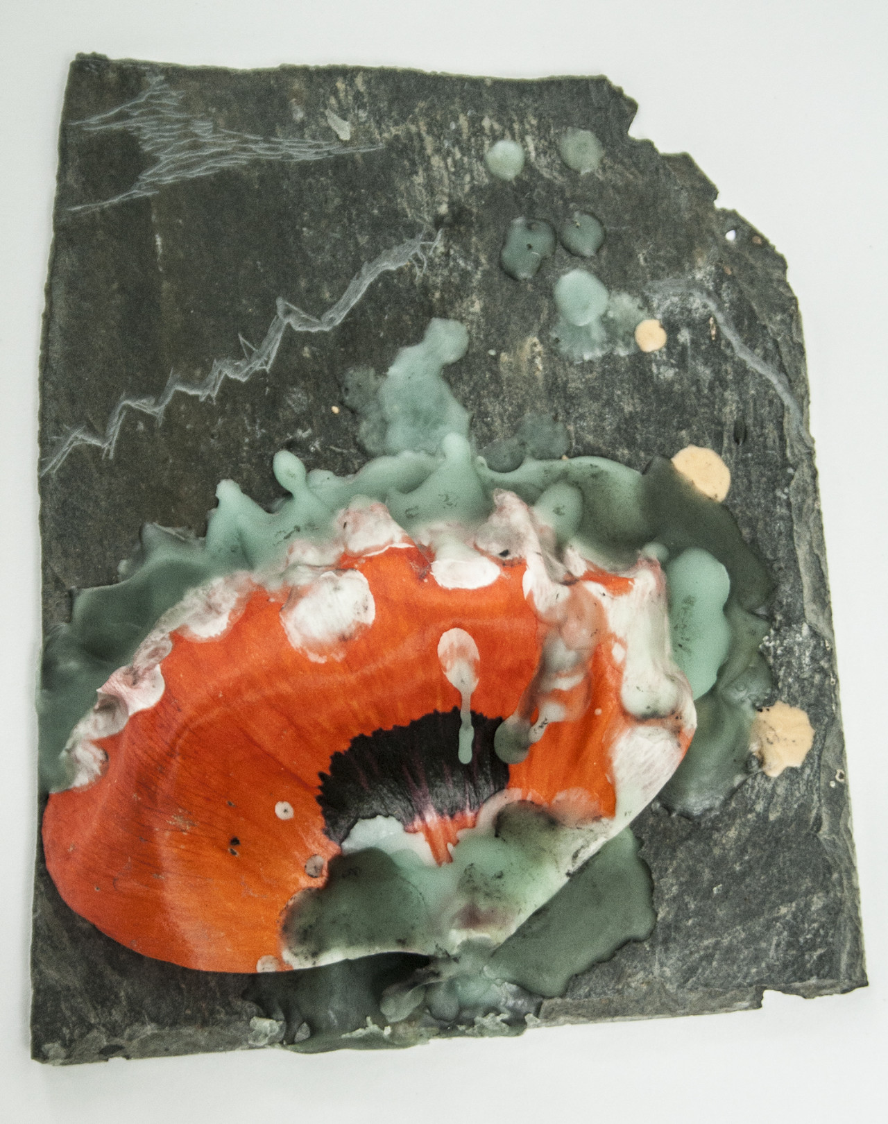 Ardoise au pavot. (Machine)