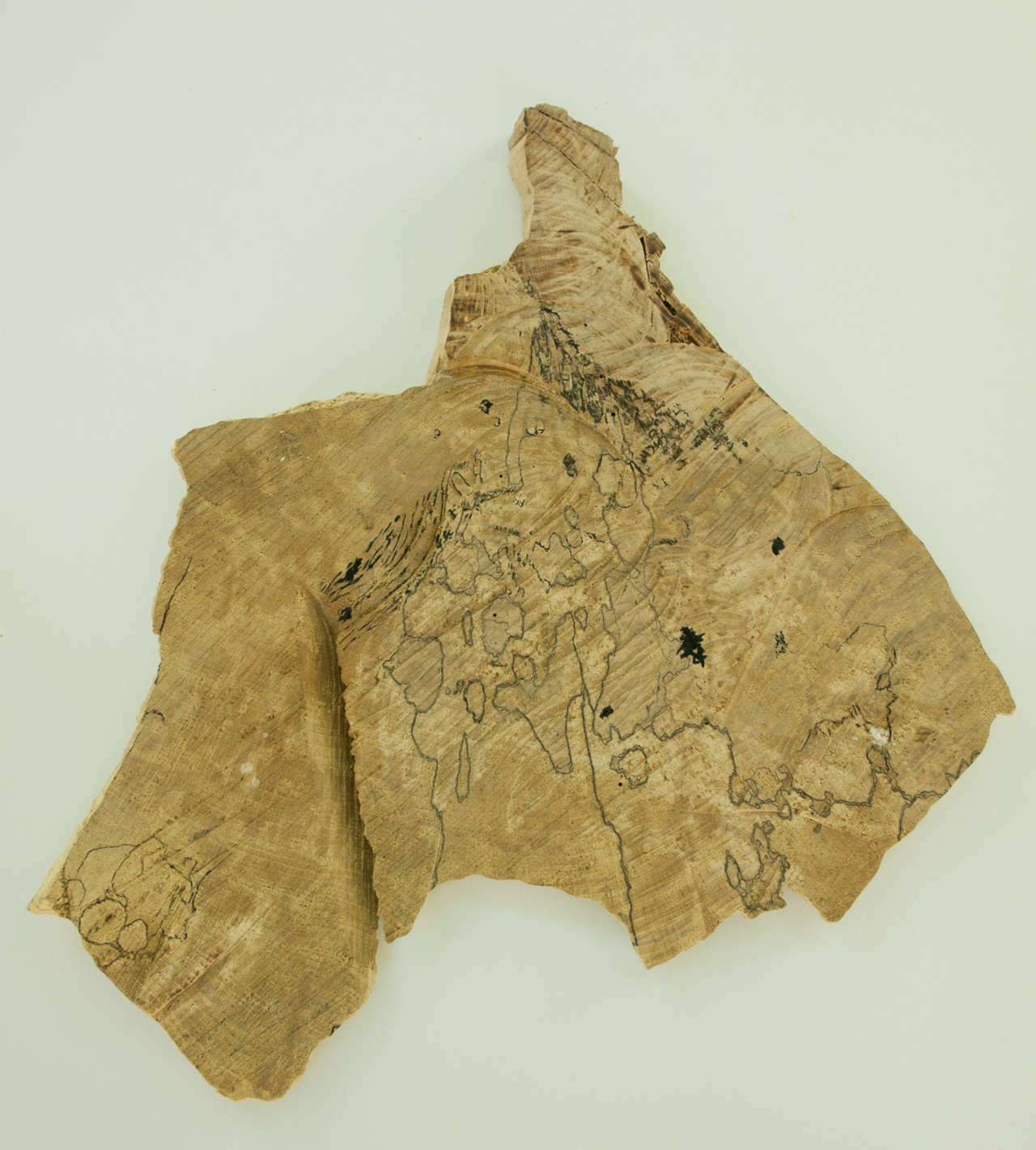 Carte du Monopotapa (à Aurélie D.)