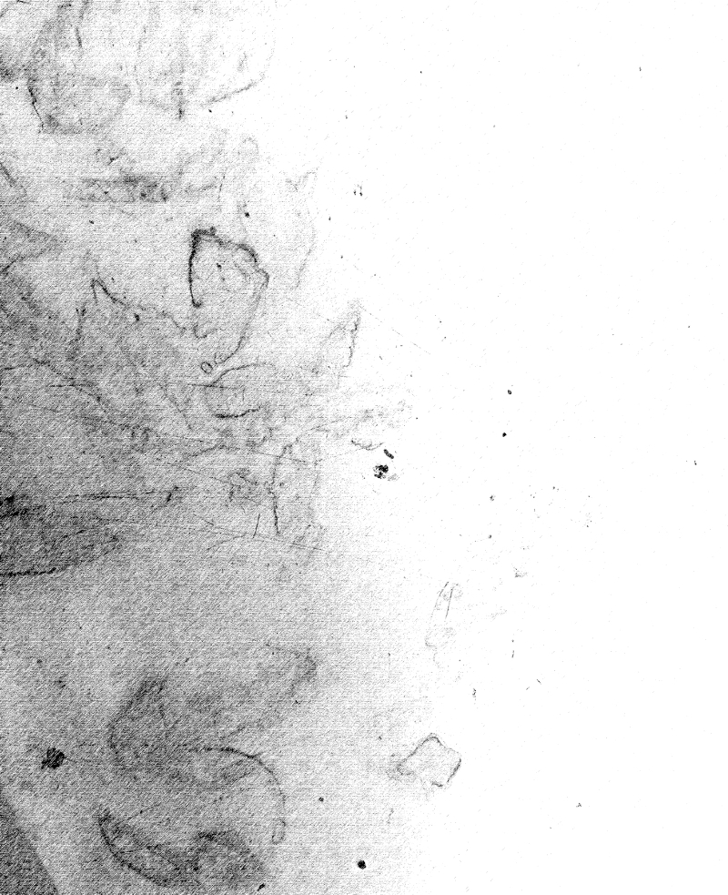 Feuilles d’Automne (à V. H.)