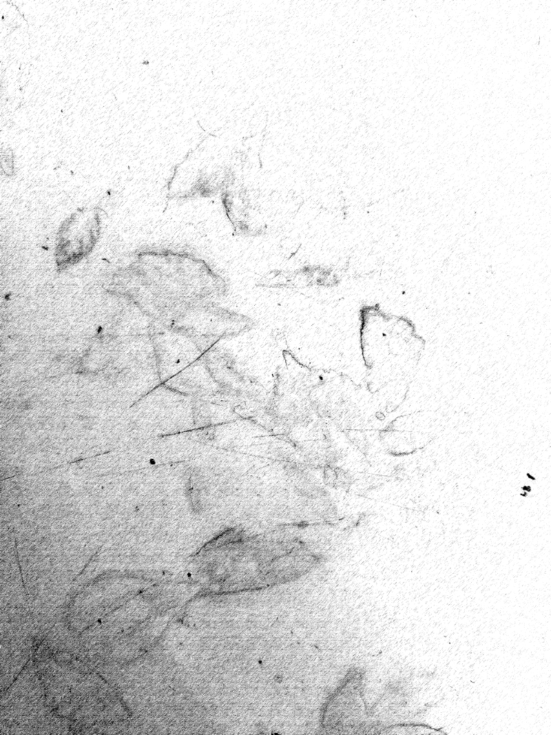 Feuilles d’Automne (à V. H.)