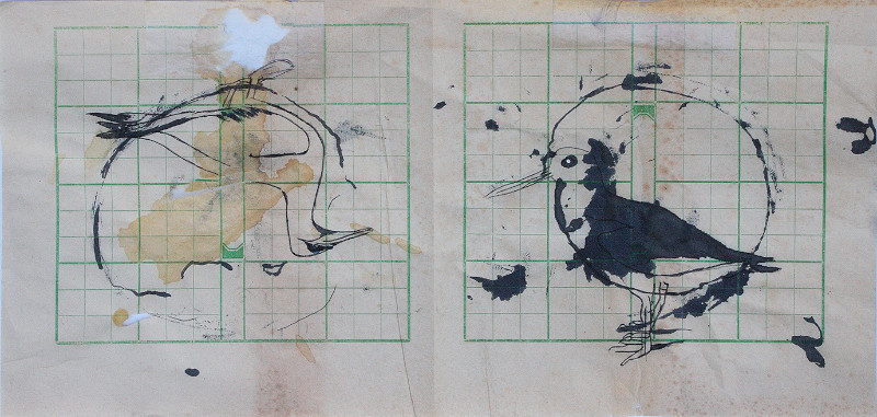 Le Cerveau de l’Oiseau