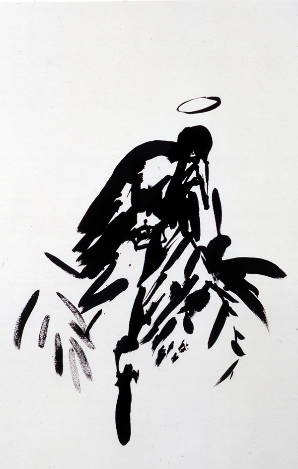 Corbeau avec auréole