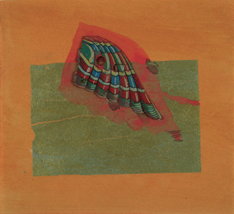 Aile d'Isis Indienne