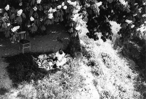 Les Enfants Croisés en Prière