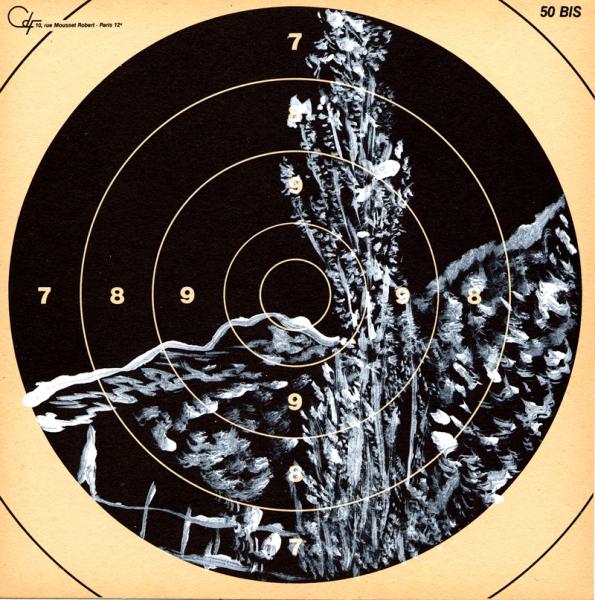 Cent Cibles : Arbuste, barrière, colline
