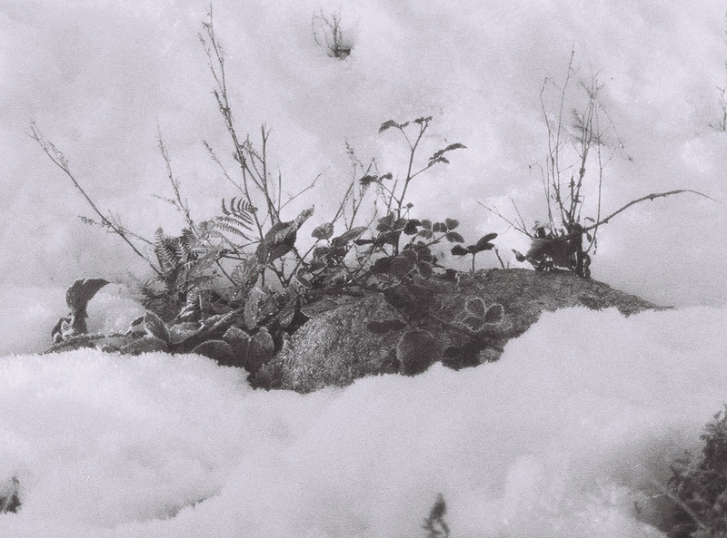 Aux Cailloux l'An Neuf !