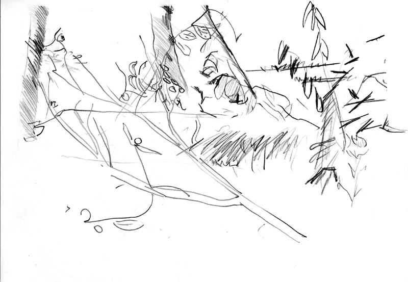 Croquis Jardin 1