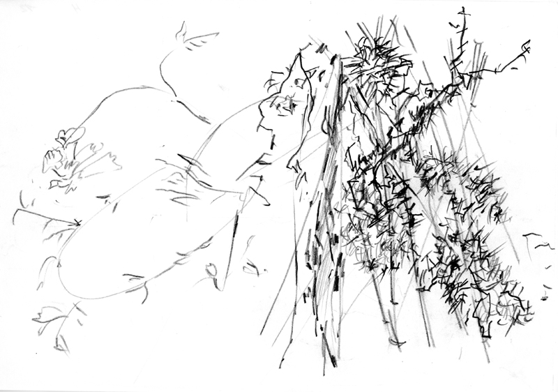 Croquis Jardin 12