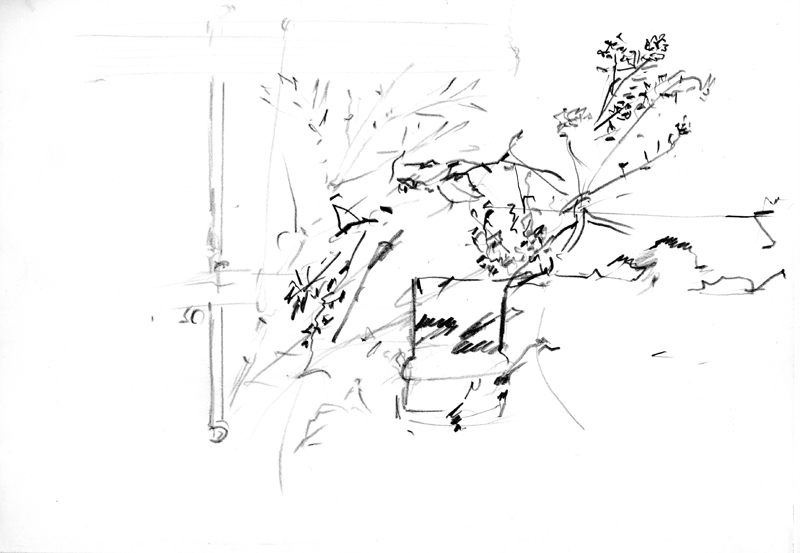 Croquis Jardin 8