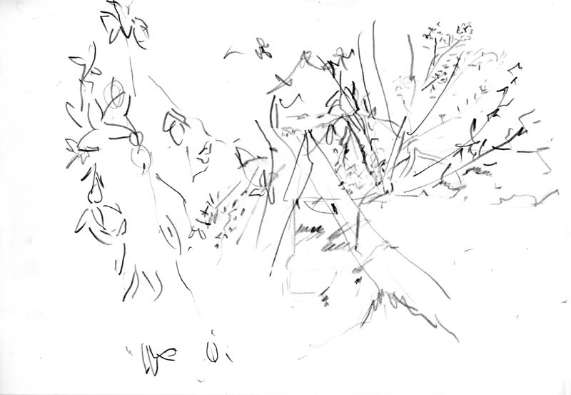 Croquis Jardin 9
