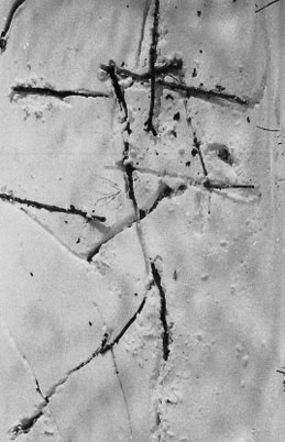 Idéogramme de la Neige. 3