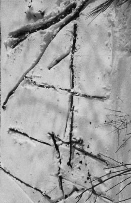 Idéogramme de la Neige. 5