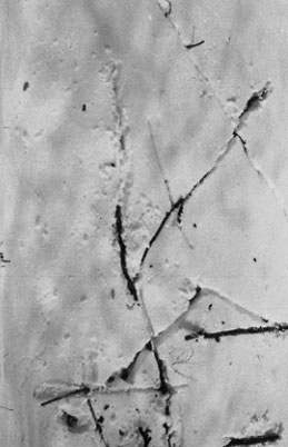 Idéogramme de la Neige.2