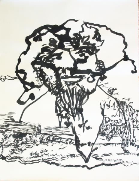 Île & Il côté Capitaine