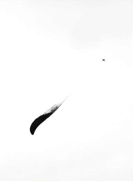 Oiseaux 2
