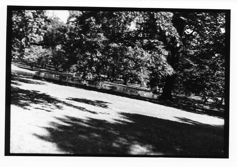 Parcours du Parc n°8