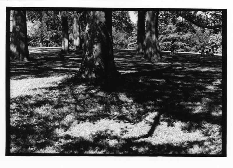 Parcours du Parc n°9