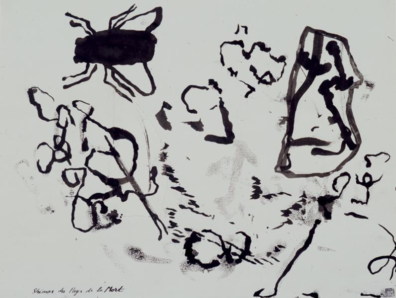 Shémas du Pays des Morts à la Mouche