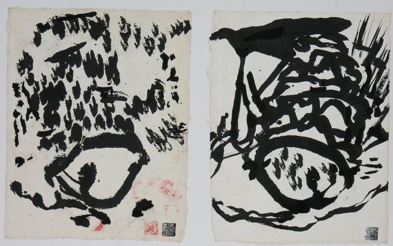 Paysages Jumeaux de Chine