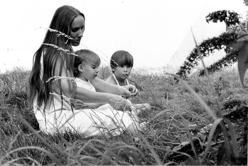 Séquence Herbeuse n°10