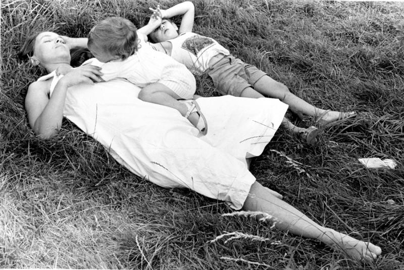 Séquence Herbeuse n°2