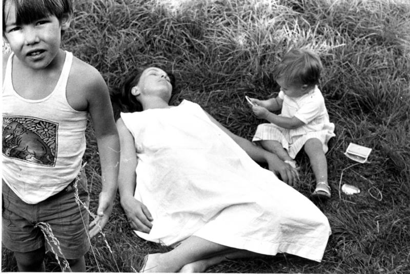 Séquence Herbeuse n°6