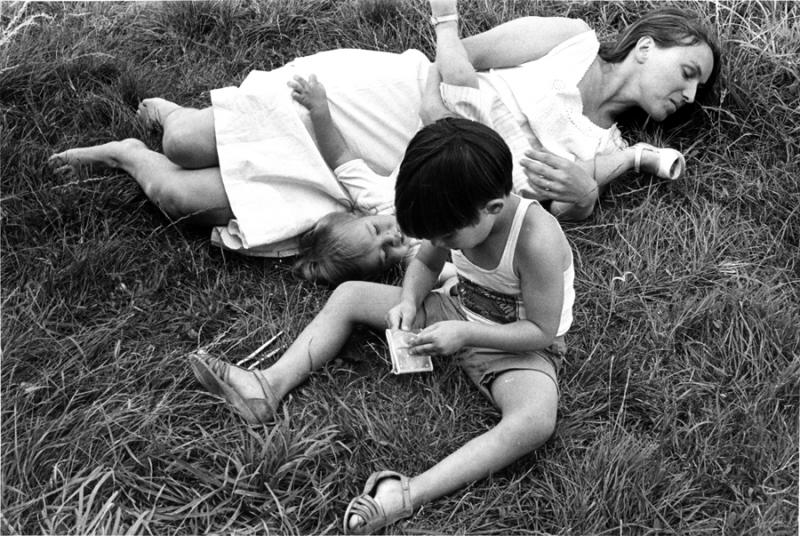 Séquence Herbeuse n°7